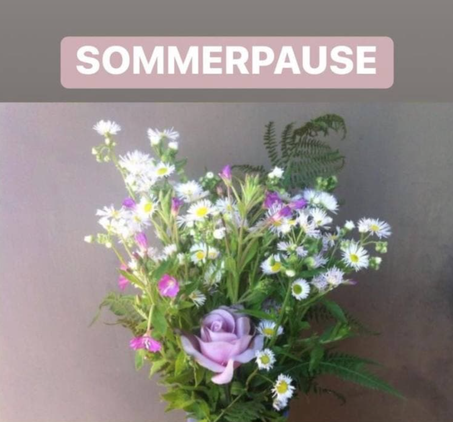 Sommerpause der ila Lebensarchitektur